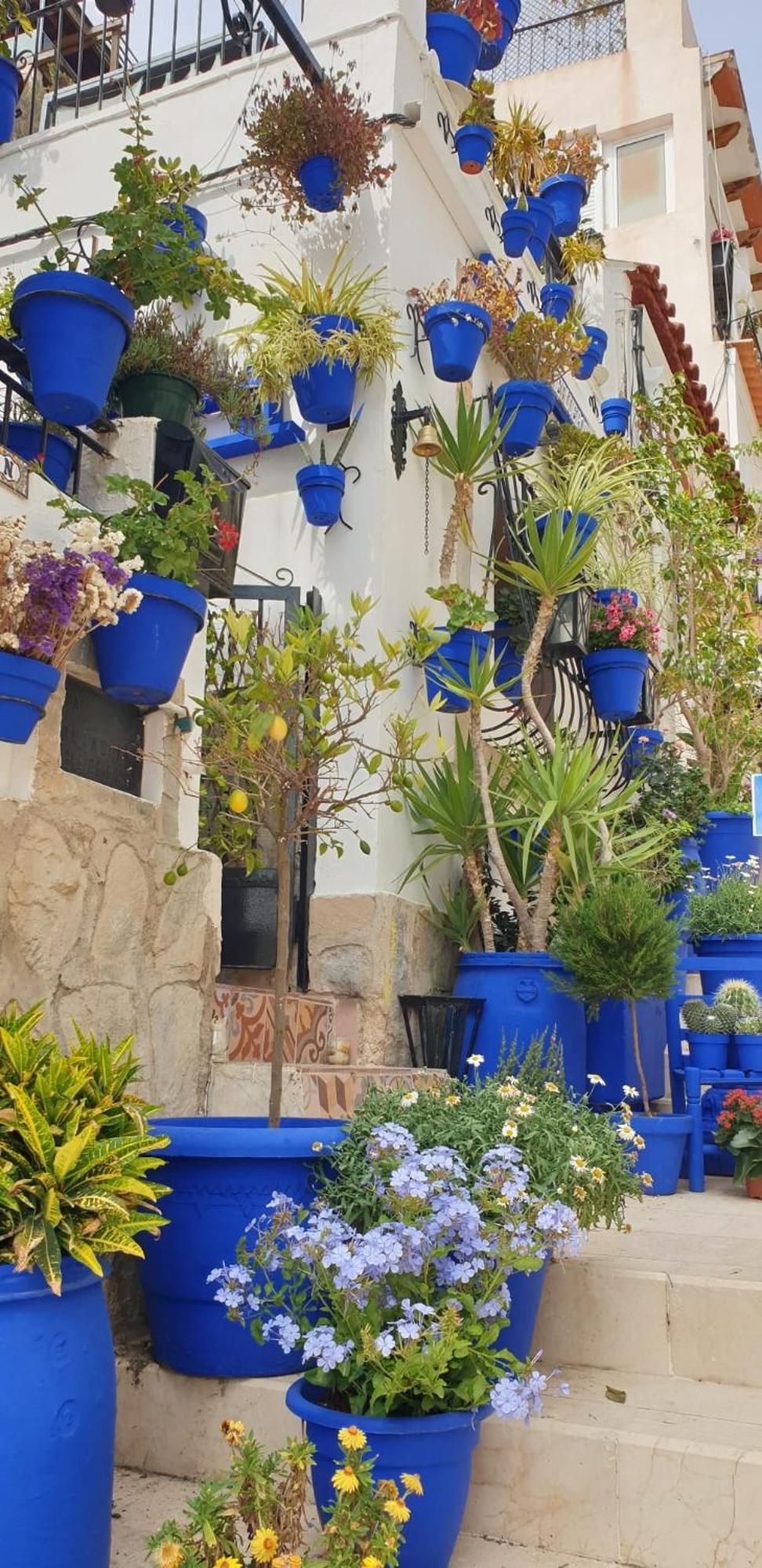 El Barrio Alicante , Playa Y Casco Antiguo Экстерьер фото